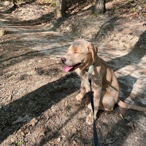 Meet your Posher, Richard